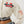 True Religion Varsity Bomber Jacket Winter White