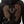 True Religion Hoodie Wing Velour Zip Jet Black