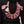 True Religion I Love Tr Classic Zip Hoodie Jet Black